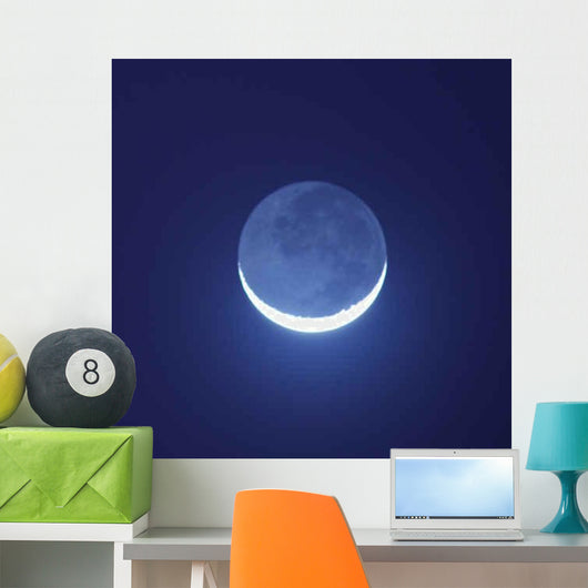Blue Moon Shining Night Wall Decal