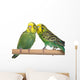 pair budgerigar on white background Wall Decal