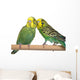 pair budgerigar on white background Wall Decal