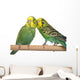 pair budgerigar on white background Wall Decal