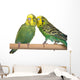 pair budgerigar on white background Wall Decal