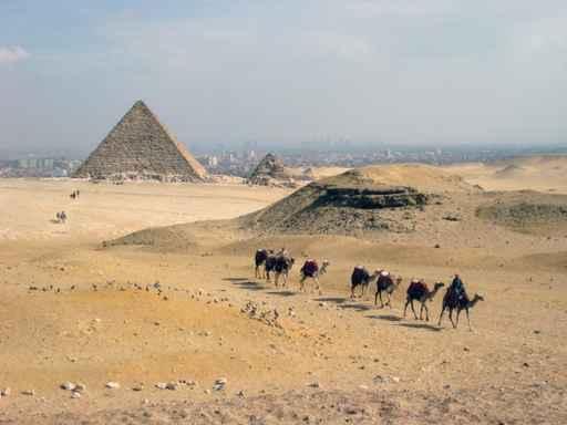 Pyramids and Camels Wall Decal