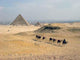 Pyramids and Camels Wall Decal