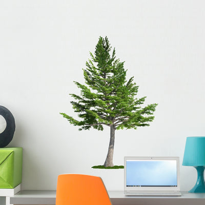 Lebanon Cedar Tree Wall Decal shown on a wall