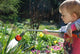 Toddler watering the flowers Wall Mural