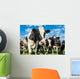 Nosey Dairy Cows Wall Decal