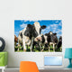 Nosey Dairy Cows Wall Decal