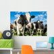 Nosey Dairy Cows Wall Decal