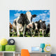 Nosey Dairy Cows Wall Decal