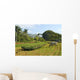 Tobacco Farm Cuba Wall Decal
