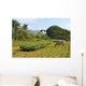 Tobacco Farm Cuba Wall Decal