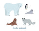 Set Arctic Animals Wall Decal Sticker Set