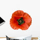 Wet Poppy-design Element Wall Decal