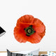Wet Poppy-design Element Wall Decal
