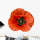Wet Poppy-design Element Wall Decal