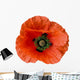 Wet Poppy-design Element Wall Decal