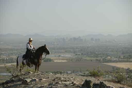 City Cowboy Wall Decal