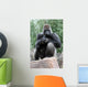 Silverback Gorilla Wall Mural