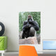 Silverback Gorilla Wall Mural