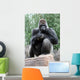 Silverback Gorilla Wall Mural