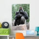 Silverback Gorilla Wall Mural