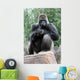 Silverback Gorilla Wall Mural