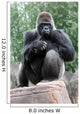 Silverback Gorilla Wall Mural