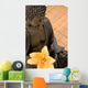 Buddha I Wall Mural