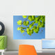 Leaf from Grape Plant Wall Mural