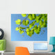 Leaf from Grape Plant Wall Mural
