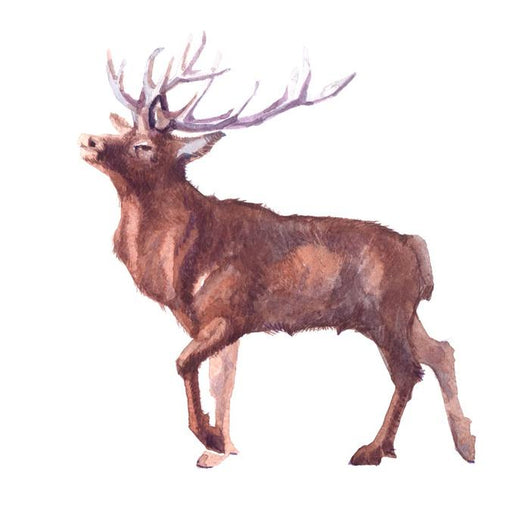 Watercolor Realistic Deer Forest Wall Decal