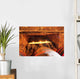 wine barrels Wall Mural