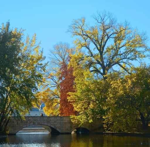 Stone Bridge Autumn Urban Wall Decal