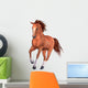 Beautiful Horse Wall Decal