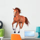 Beautiful Horse Wall Decal