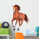 Beautiful Horse Wall Decal