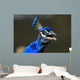 Portrait Blue Peacock Wall Decal