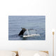 Whale Tail Wall Decal