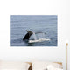 Whale Tail Wall Decal