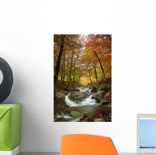 Colors Autumn Wall Decal