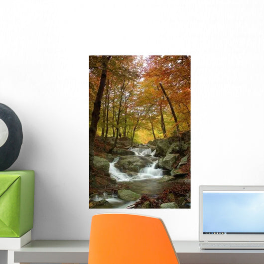 Colors Autumn Wall Decal