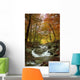 Colors Autumn Wall Decal