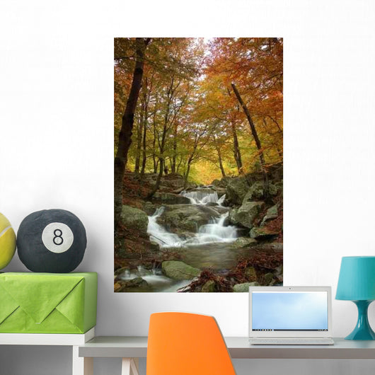 Colors Autumn Wall Decal