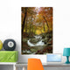 Colors Autumn Wall Decal