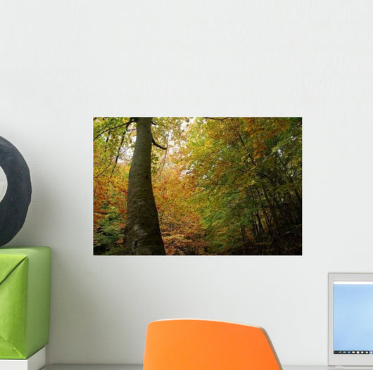 Natural Roof Wall Decal