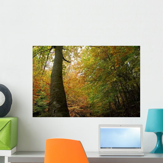 Natural Roof Wall Decal