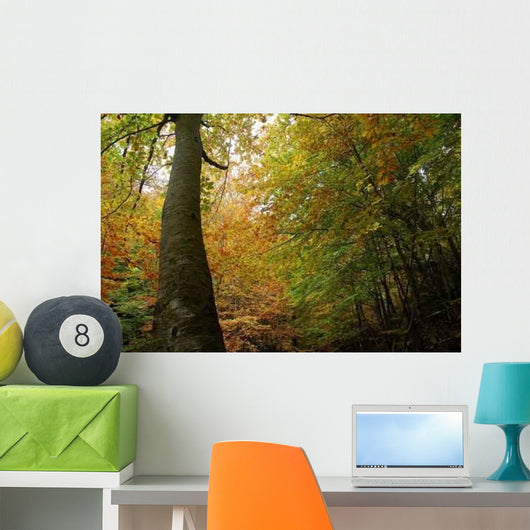 Natural Roof Wall Decal