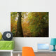 Natural Roof Wall Decal
