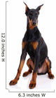 Black and Brown Doberman Wall Decal