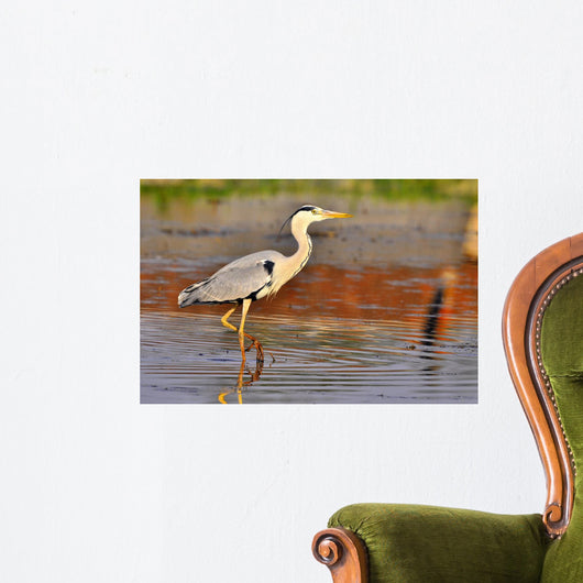 Airone Heron Wall Decal Design 3